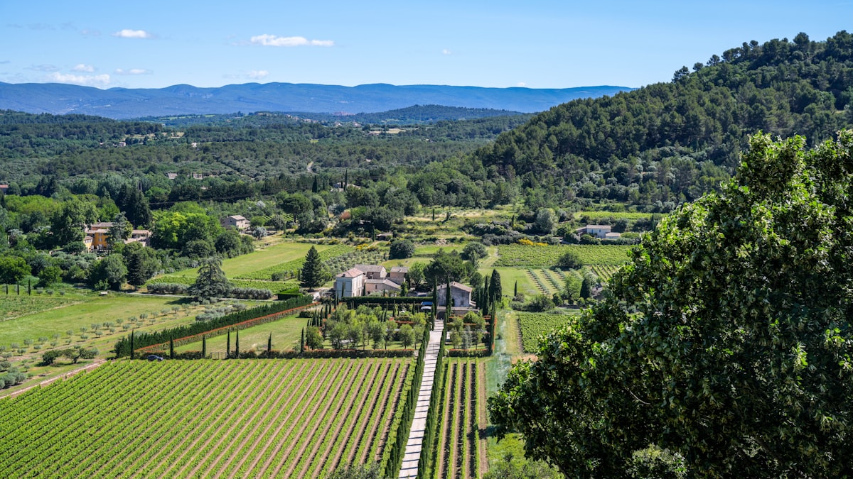 Domaine viticole en Provence